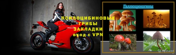 амф Алексин