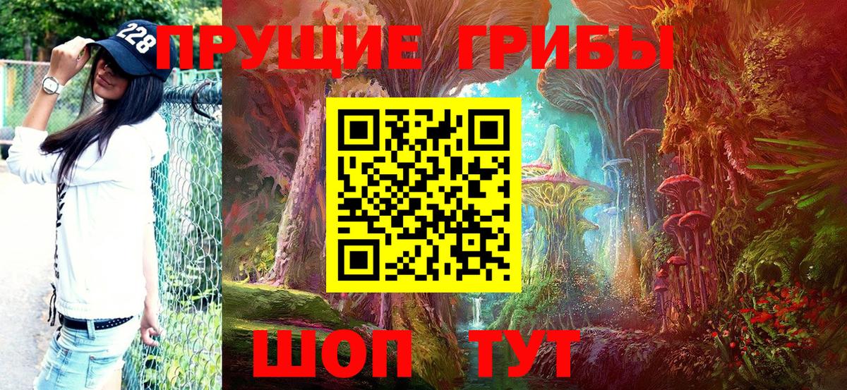 Избербаш  Галлюциногенные грибы Psilocybine cubensis  Вход с VPN  Галлюциногенные грибы Psilocybine cubensis 